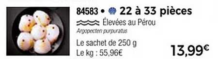 22 à 33 pièces - Élevées au Pérou