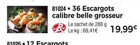 36 Escargots calibre belle grosseur