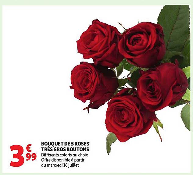 BOUQUET DE 5 ROSES TRÈS GROS BOUTONS