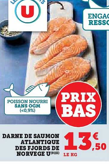 DARNE DE SAUMON ATLANTIQUE DES FJORDS DE NORVEGE U