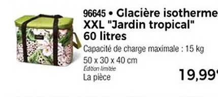 Glacière isotherme XXL "Jardin tropical" 60 litres