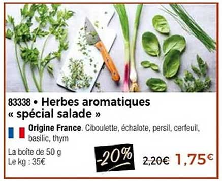 Herbes aromatiques « spécial salade »