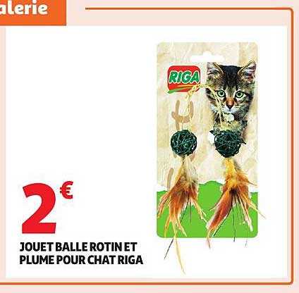 JOUET BALLE ROTIN ET PLUME POUR CHAT RIGA
