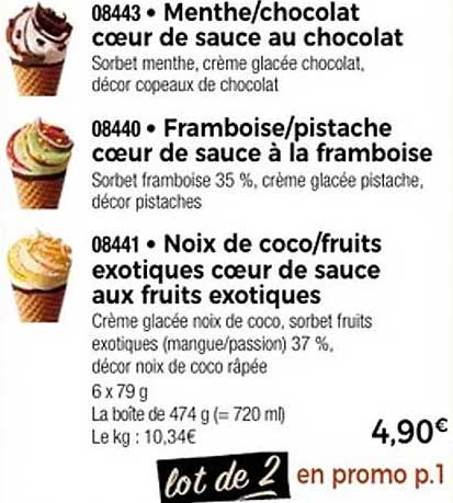 Lot de 2 - Sorbets et Crèmes Glacées