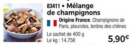 Mélange de champignons