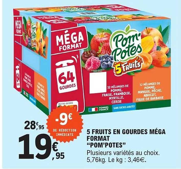 5 FRUITS EN GOUDRES MÉGA FORMAT “POM’POTES”