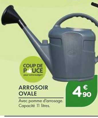 ARROSOIR OVALE