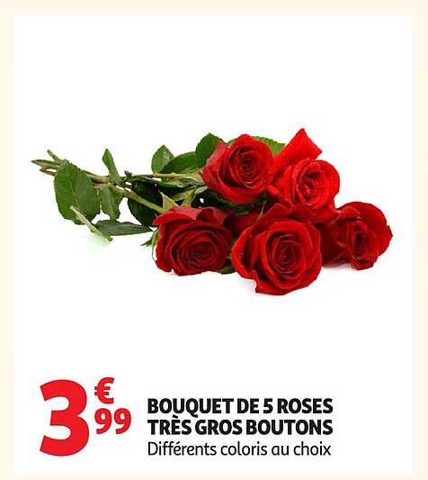 BOUQUET DE 5 ROSES TRÈS GROS BOUTONS