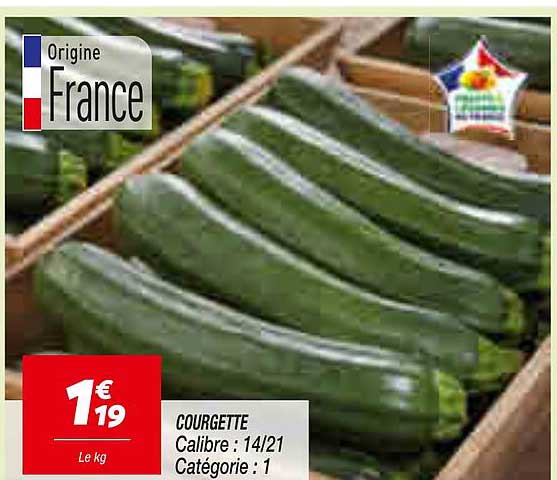 COURGETTE Calibre : 14/21 Catégorie : 1