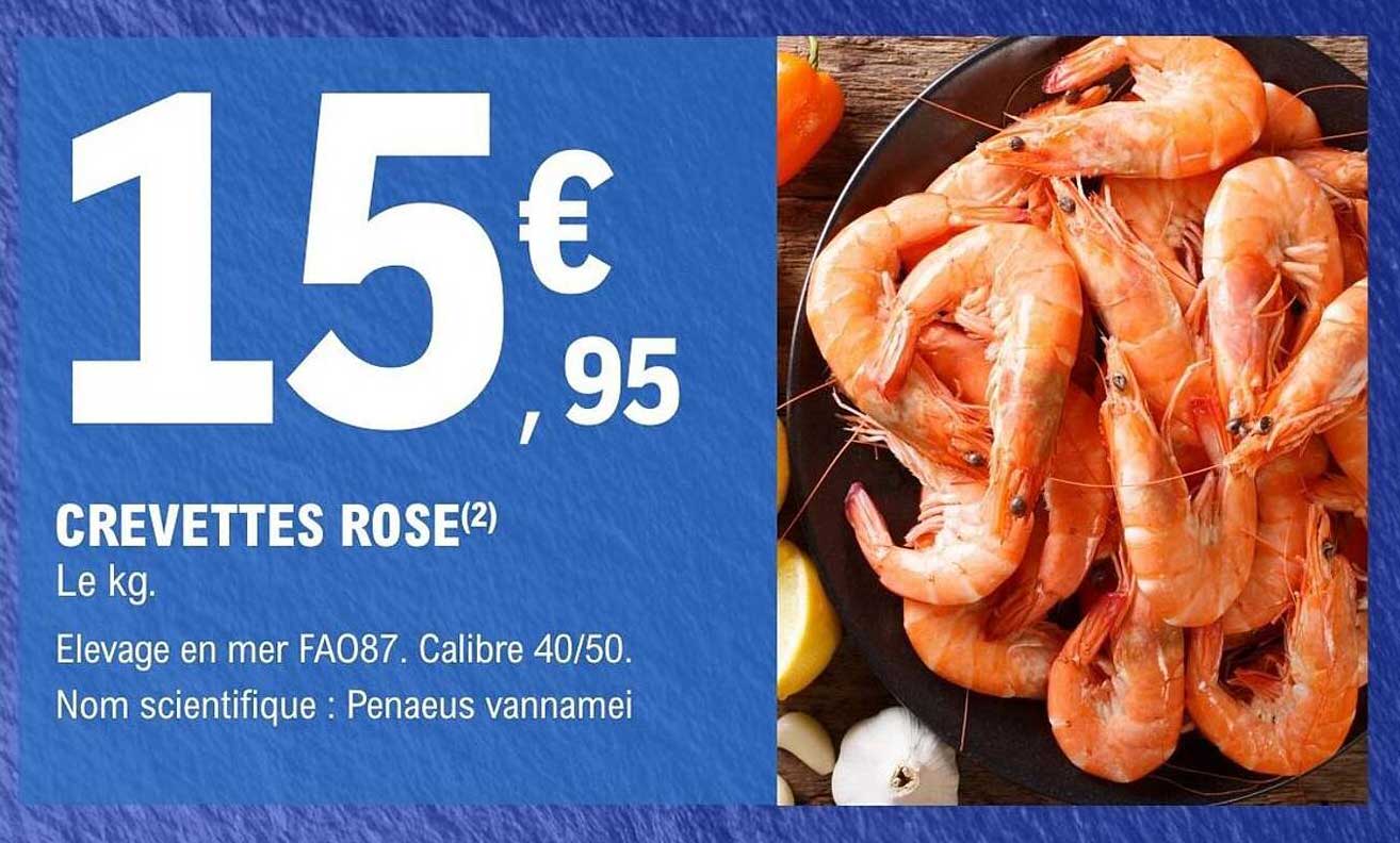 CREVETTES ROSE(2)