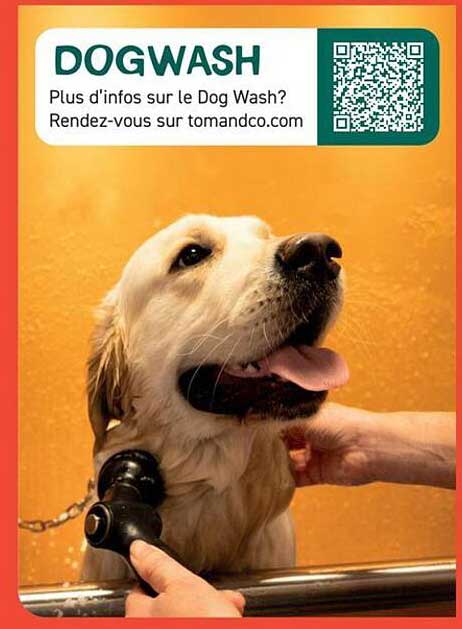 DOGWASH