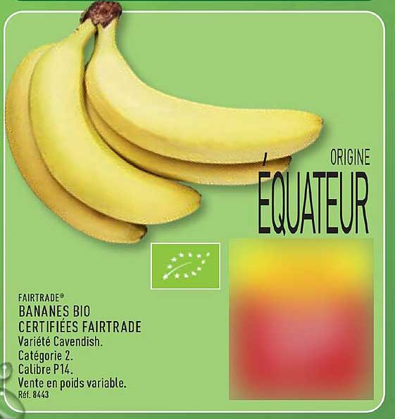 FAIRTRADE BANANES BIO CERTIFIÉES FAIRTRADE