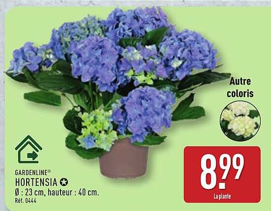 GARDENLINE® HORTENSIA