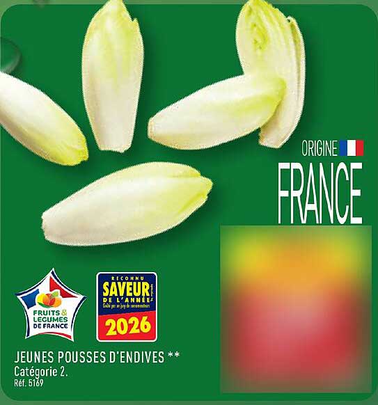JEUNES POUSSES D’ENDIVES**