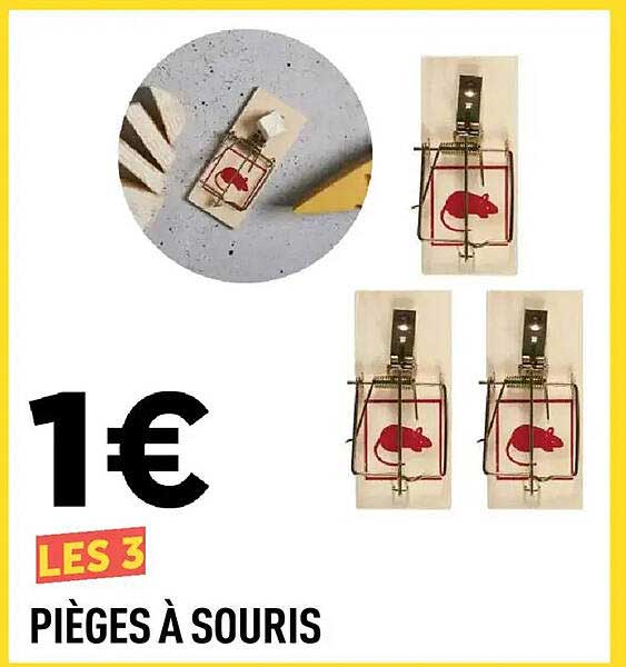 LES 3 PIÈGES À SOURIS