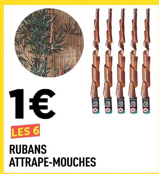 LES 6 RUBANS ATTRAPE-MOUCHES