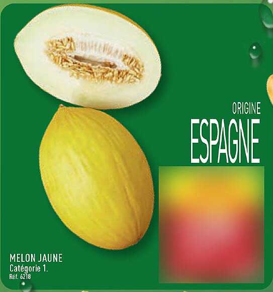 MELON JAUNE Catégorie 1. Réf. 6218
