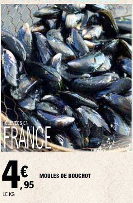 MOULES DE BOUCHOT