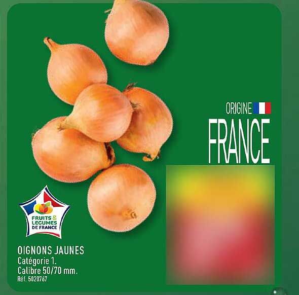 OIGNONS JAUNES