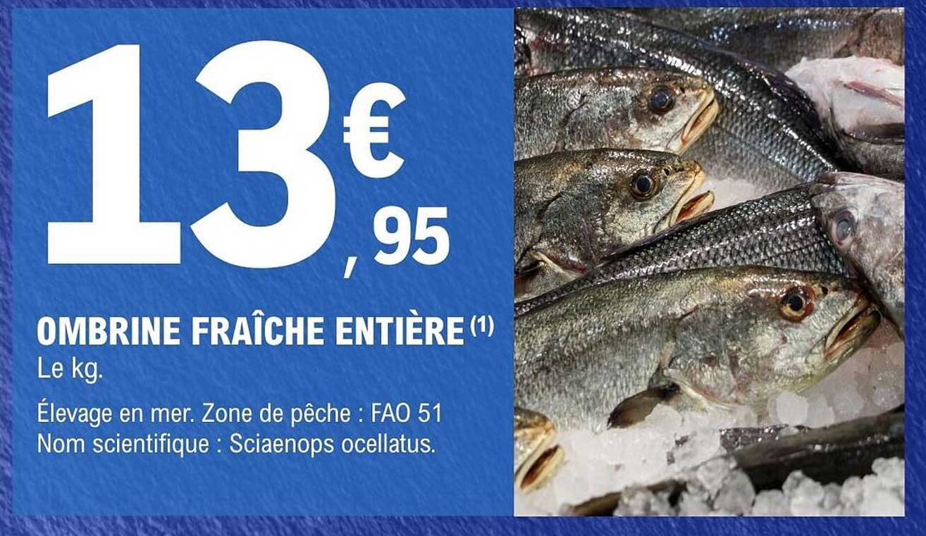 OMBRINE FRAÎCHE ENTIÈRE (1)