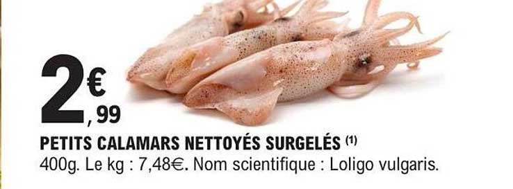 PETITS CALAMARS NETTOYÉS SURGELÉS