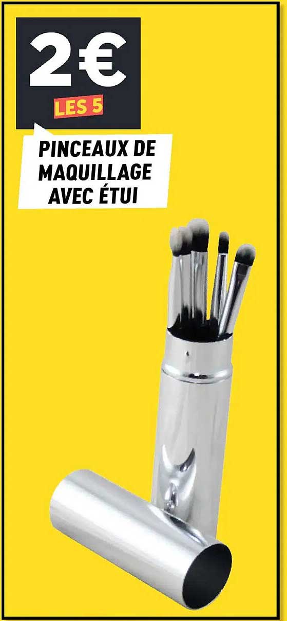 Pinceaux de maquillage avec étui