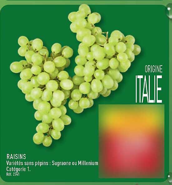 RAISINS Variétés sans pépins : Sugraone ou Millenium Catégorie 1. Réf. 2741