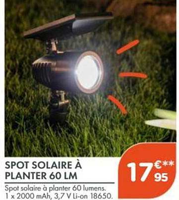 SPOT SOLAIRE À PLANTER 60 LM
