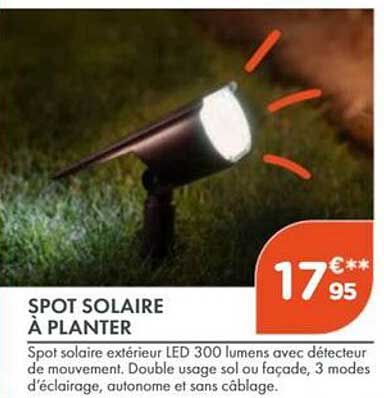 SPOT SOLAIRE À PLANTER