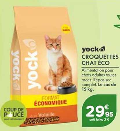 yock CROQUETTES CHAT ÉCO