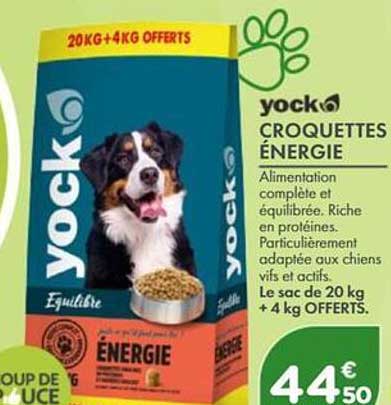yock CROQUETTES ÉNERGIE