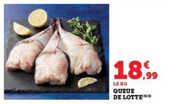 QUEUE DE LOTTE