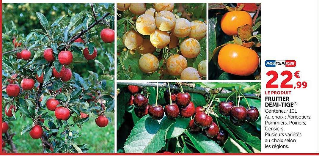 LE PRODUIT FRUITIER DEMI-TIGE(A)