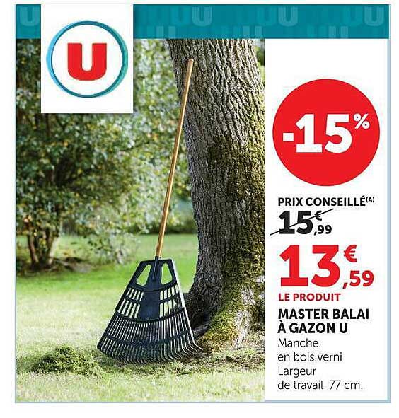 MASTER BALAI À GAZON U