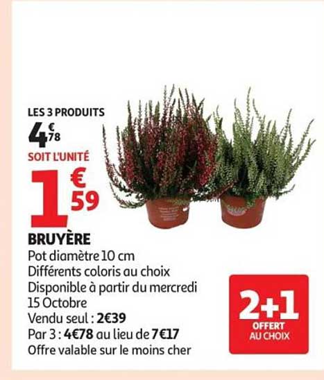 BRUYÈRE
