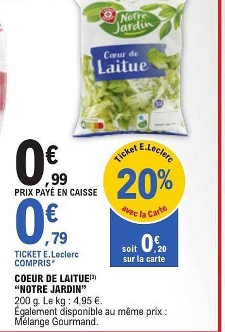 COEUR DE LAITUE "NOTRE JARDIN"