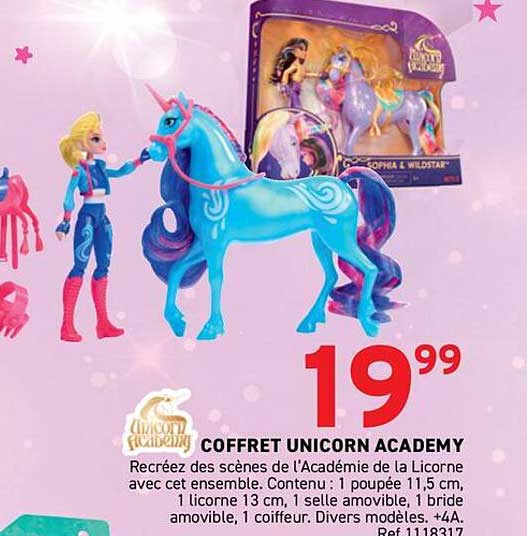 COFFRET UNICORN ACADEMY