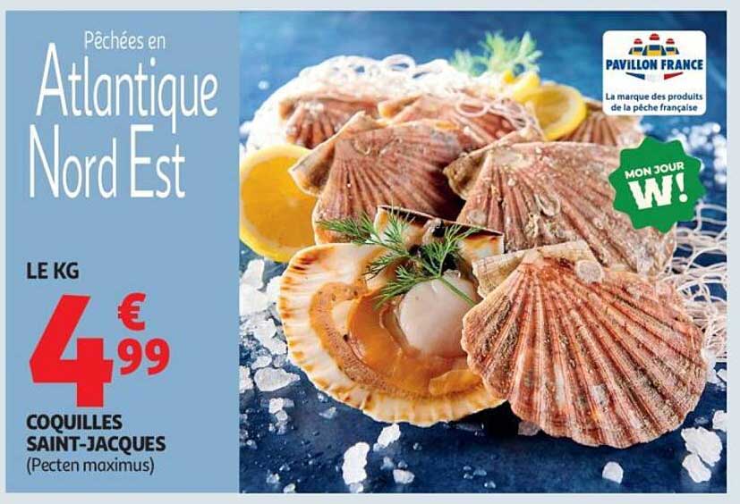 Coquilles Saint-Jacques (Pecten maximus) - 4,99 € le kg