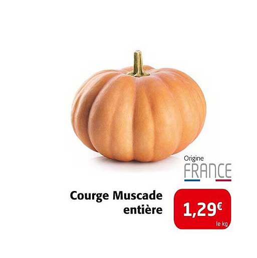 Courge Muscade entière