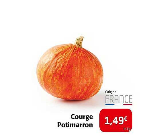Courge Potimarron