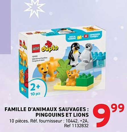 FAMILLE D'ANIMAUX SAUVAGES : PINGOUINS ET LIONS