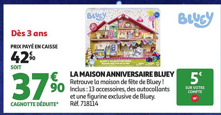 LA MAISON ANNIVERSAIRE BLUEY