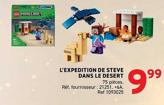 L’EXPÉDITION DE STEVE DANS LE DÉSERT