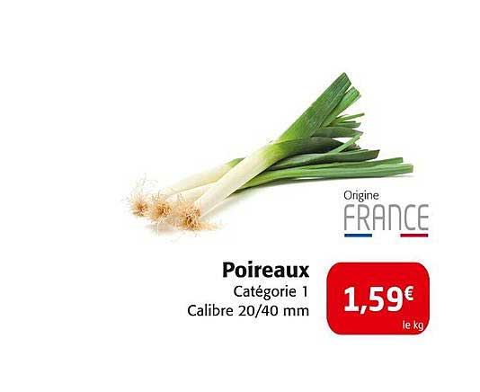 Poireaux Catégorie 1 Calibre 20/40 mm