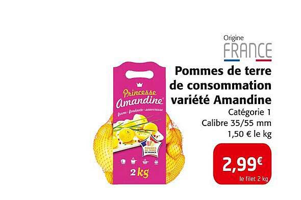 Pommes de terre de consommation variété Amandine
