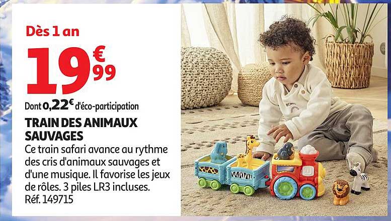 TRAIN DES ANIMAUX SAUVAGES