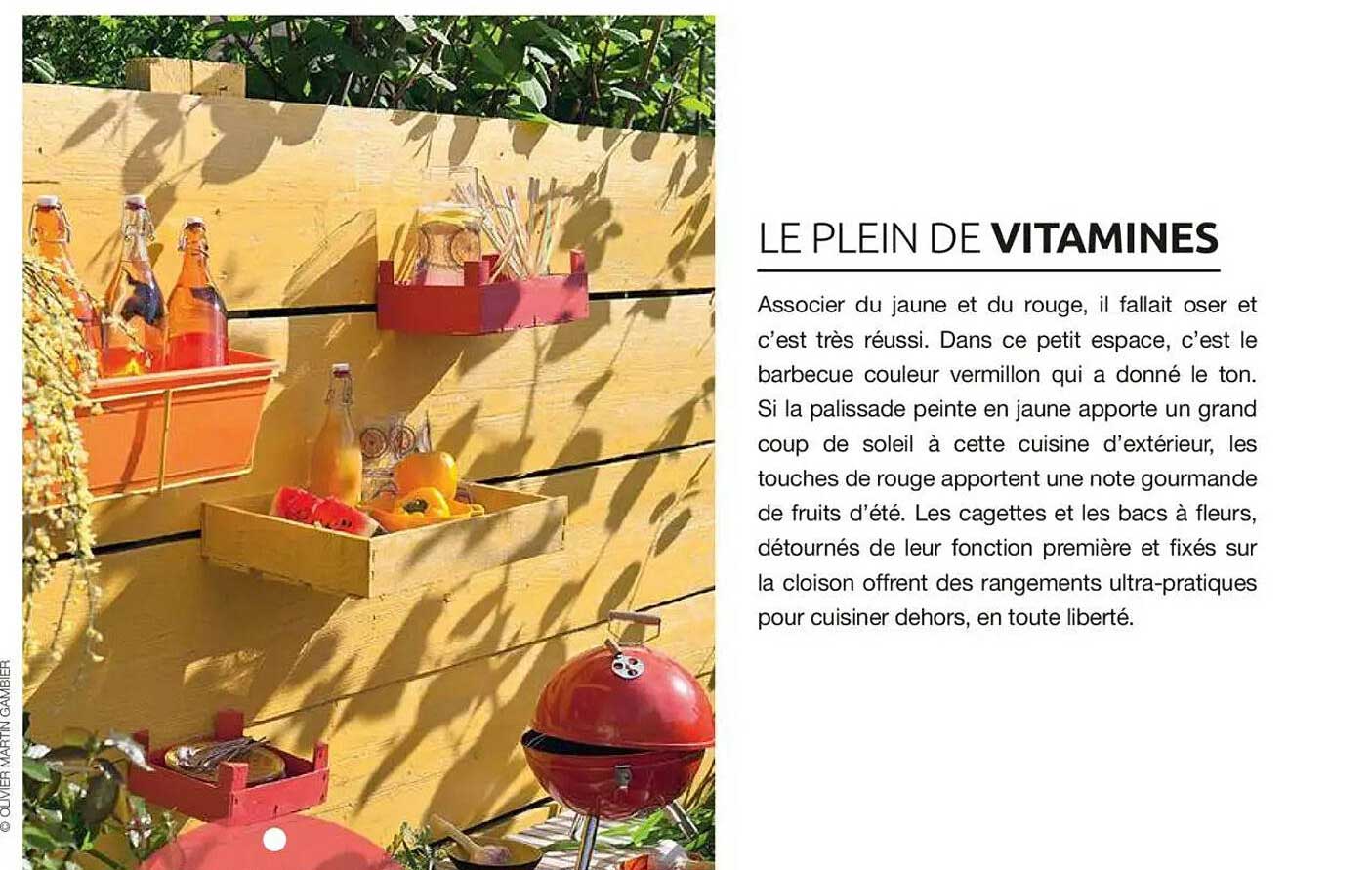 LE PLEIN DE VITAMINES