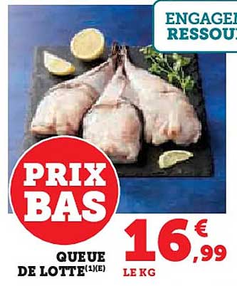 QUEUE DE LOTTE