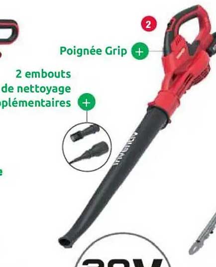 Souffleur de feuilles 20V