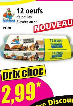 12 oeufs de poules élevées au sol